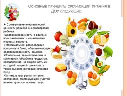 Основные принципы организации питания в ДОУ
